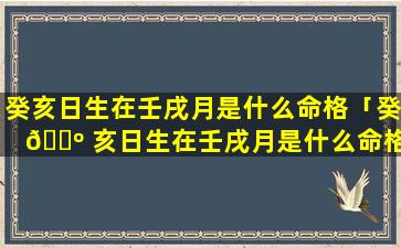 癸亥日生在壬戌月是什么命格「癸 🌺 亥日生在壬戌月是什么命格的人 🐒 」